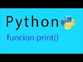 la funcion print en python