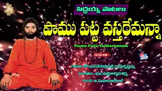 siddaiah patalu paamu patta vastharemanna pothuluri veera bramhendra swamy songs bhakti