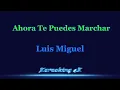 Luis Miguel  Ahora Te Puedes Marchar  Karaoke 4K