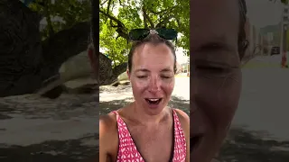 The most poisonous trees in the world are EVERYWHERE here ☠️🌳! #manchineeltree #shorts