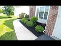 Black Mulch Installation