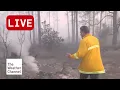 Florida s Worst Fire Season in Decades Justin Michaels Shows Scorched Goethe State Forest