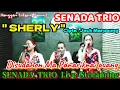 Download Lagu SENADA TRIO - Cover Lagu Batak Terpopuler \