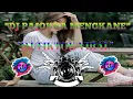 Download Lagu DJ pajokka mengkane || DJ viral tiktok terbaru 2021🎶🎧