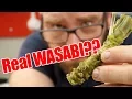 Real Wasabi or Fake Wasabi Is there a difference