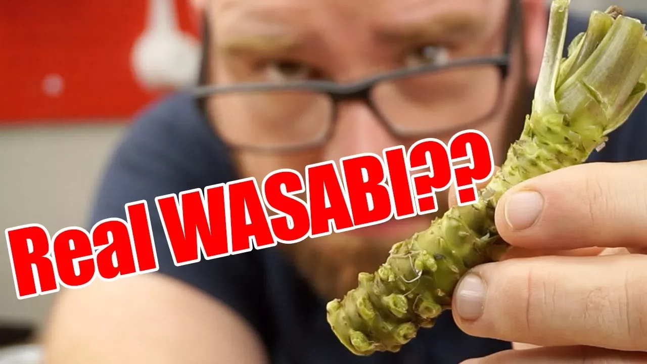 Real Wasabi or Fake Wasabi? Is there a difference?