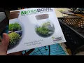 Reviewing Terrarium Kit From Menards