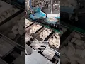 Download Lagu frozen  dumplings, fully automatic packaging machine for fragile products #automaticpackingmachine