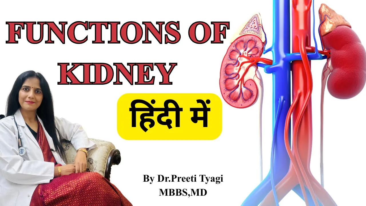 FUNCTION OF KIDNEY