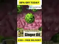 Ginger Oil for Fast Drainage of Belly Fat