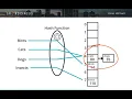 Data Structures Part 5 - Hash Table