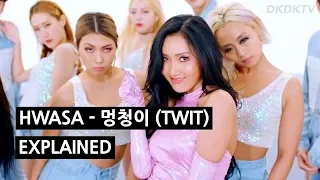 Download HWASA - 멍청이 (TWIT) Explained by a Korean MP3