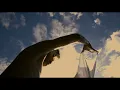 Julian & Roman Wasserfuhr: MOSAIC