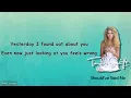 Taylor Swift -  Should've Said No (Lyric Video)