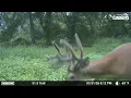 51 5 Acres in Appanoose County IA Hunting Tillable Income and Build Site