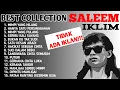 Download Lagu FULL ALBUM SALEEM IKLIM!! LAGU MALAYSIA POPULER.