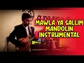 Lagu Saleh Samee - Mawla ya salli | mandolin instrumental cover | Arabic Nasheed