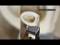Cottage Grove water issues