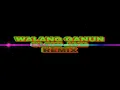 Lagu WALANG GANUN | SLOWJAM REMIX