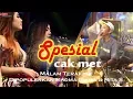 Download Lagu NEW PALLAPA \
