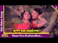 Lagu Naan Oru Kuzhandhai Video Song | Padagotti Movie Songs | MGR | Saroja Devi | Pyramid Music