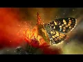 Download Lagu Sergey Grischuk🎧Welcome Spring