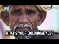 Download Lagu Sci-Tech:  What’s your Biological Age?