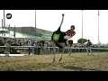 Camels ostriches zebras race for charity at Lone Star Park