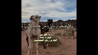 آية الكرسي مكرره   ريان المحيسني دندنها