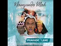 Download Lagu Nomfundo Moh - Phakade Lami Feat. Shasha \u0026 Ami Faku (Luckygeenius Remix)