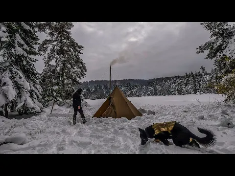 Download MP3 2 Days Winter Camping : Snow Camping with My Dog on the Old Lake Shore, Hot Tent, Wood Stove