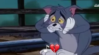 تصميم   محمد بن غرمان   جدا محترم   عواذل سوو لمخك غسيل   فخوو راسك وعدولك لغمم   توم وجيري دندنها