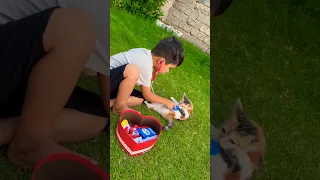 يا طبيب يا طبيب عالجني     دندنها