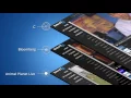 Select TV Overview