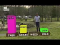 Tracking very high pollen levels in Central Virginia