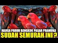 Lagu EDAN ! HARGA BURUNG PARUH BENGKOK 2025 SEMURAH INI DIKIOS PASAR BURUNG PRAMUKA