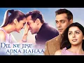 Download Lagu Dil Ne Jise Apna Kahaa | Bollywood Romantic Classic | Salman Khan, Preity Zinta, Bhoomika Chawla