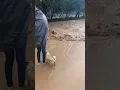 Extreme Floods That Shocked Everyone mp