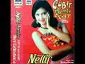 Download Lagu Nelly Agustin - Cubit Tak Mau Dicubit