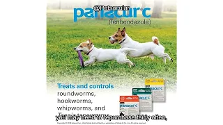 Panacur C Canine Dewormer Review Is It Worth It for Your Dog s Health