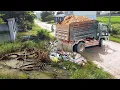 Lagu First Start Amazing PROJECT!! LANDFILL Delete Deep Land In Flooded Area Use Bulldozer \u0026 5Ton Truck.