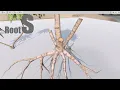 Unity Tree Creator Roots Tutorial