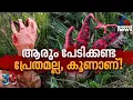 ശവഗന്ധമുള്ള 'പ്രകൃതിയുടെ പ്രേതവിരലുകൾ'; ആരും പേടിക്കണ്ട ഗൈസ്, അത് കൂണാണ്!| Devil's Fingers