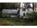 Abandoned Home - Snakes in the Walls