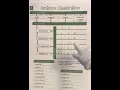 Sentence Classification