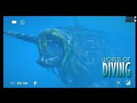 World of Diving -  HMS Tranquility