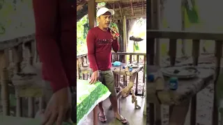 Never Thought That I Could Love Cover By Emerson Condino 