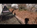 Tricks Of The Trade Layng Pinestraw Wth Your Hands And A Rake