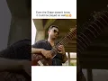 Garaj Garaj🔥 | Ritwik and Paresh #singing #guitarcover #garajgaraj #trendingaudio #trendingmusic