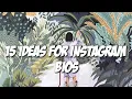 15 ideas for instagram bios gr m s